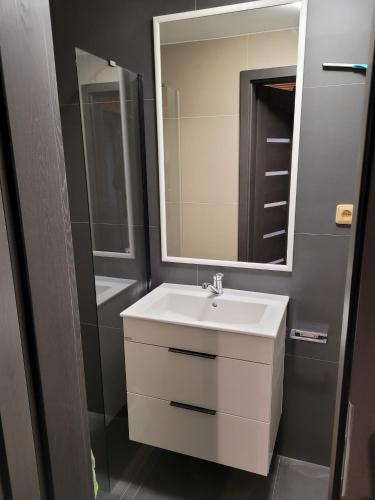 a bathroom with a white sink and a mirror at Berry in Klatovy