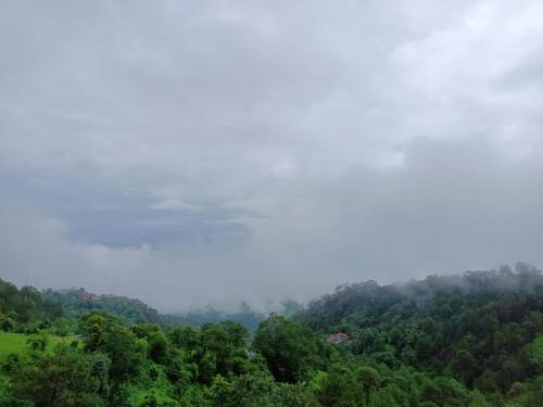 Un paisaje natural cerca del departamento