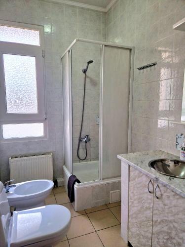 a bathroom with a shower and a toilet and a sink at White House in Bălţi