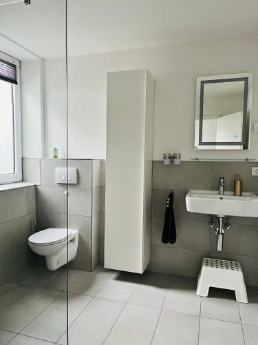 a bathroom with a toilet and a sink at Luxus Appartement Motel Ambiente 2 in Bad Säckingen