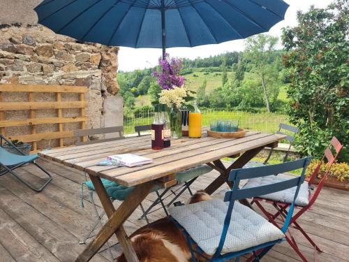 a wooden table with a dog sitting under an umbrella at La Ferme des Galoches in Villemontais