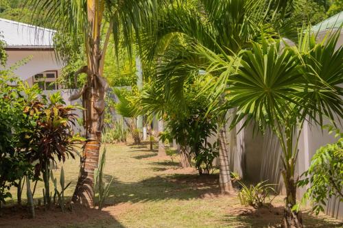 a row of palm trees next to a building at Palm Holiday Apartments in Grand'Anse Praslin