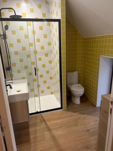 une salle de bain avec toilettes et douche en verre dans l'établissement Le domaine des mortiers appartement T2, à Saint-Étienne-de-Montluc