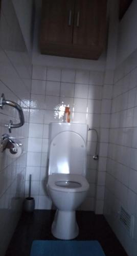a bathroom with a white toilet in a stall at Haus Lucky in Rosenau am Hengstpass