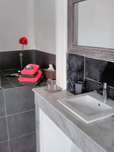 a bathroom with a sink and a mirror at Maison d'hôtes Le Jas Vieux in Montfort