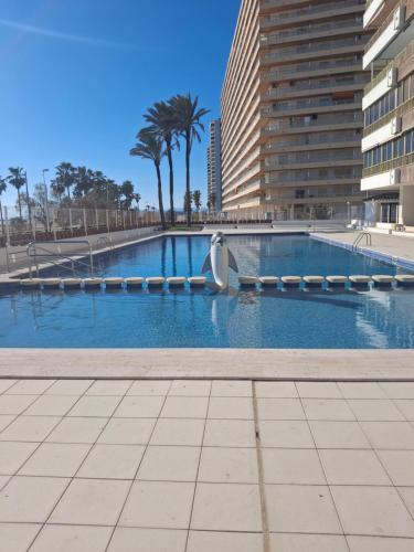 ein Schwimmbad mit einem Schwan in der Mitte eines Gebäudes in der Unterkunft Arensol Playa de Cullera in Cullera