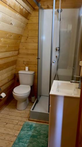 a bathroom with a toilet and a shower and a sink at Quinta do Carvalho - Nature Guest Houses in Guimarães