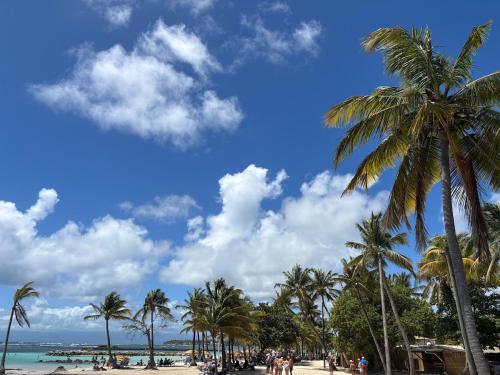 una playa con palmeras y el océano en L'écrin du Rivage, en Sainte-Anne