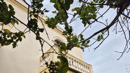 a building with a tree branch in front of it at Relais Villa Montedonzelli in Naples