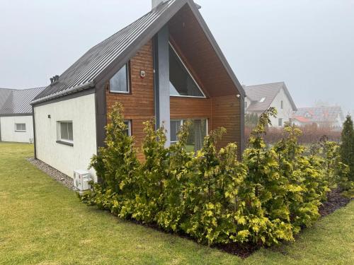 a house with a bunch of bushes in front of it at Jaśminowy Sad in Mikołajki