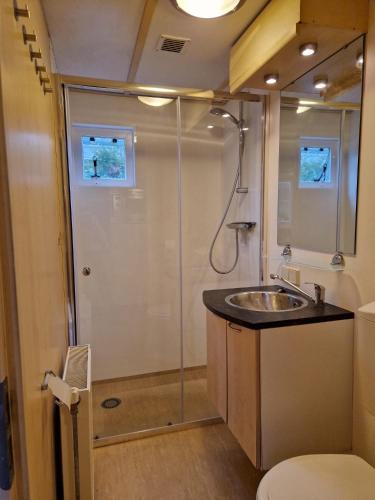 a bathroom with a shower and a sink and a toilet at 6 persoons chalet op de Veluwe bij binnen en buiten zwembad in Arnhem