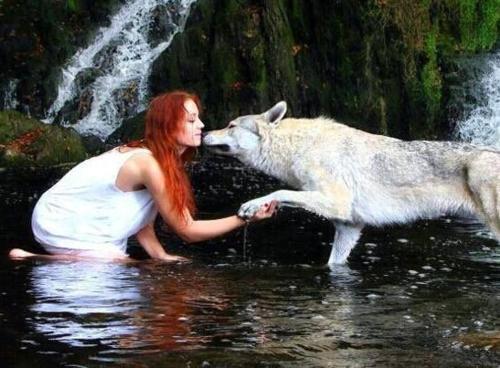 a woman and a wolf in the water near a waterfall at Mecseki Farkasvár in Magyarhertelend