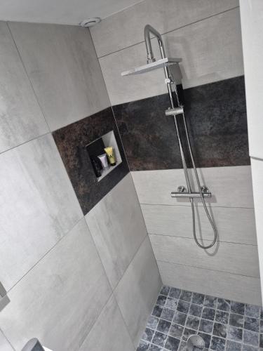une salle de bain avec une douche avec une porte vitrée dans l'établissement Sublime studio en face de la Moselle, à Chavelot