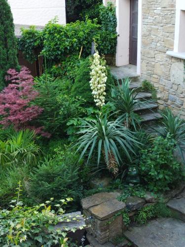 Κήπος έξω από το Casa nel bosco