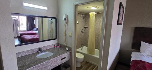 a bathroom with a sink and a toilet and a mirror at Econo Lodge Fort Knox in Radcliff