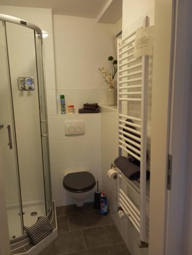 a small bathroom with a toilet and a shower at Monteurs-Ferienwohnung in Wolfhagen