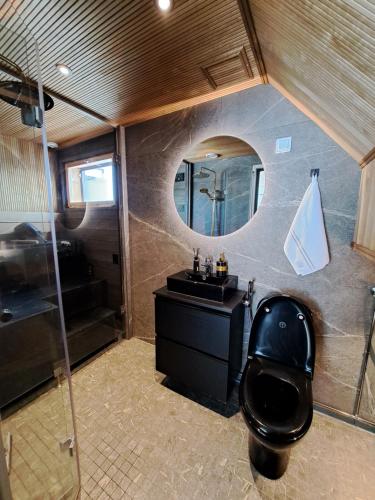 a bathroom with a toilet and a sink and a mirror at Levi Sky Igloo with private sauna and hot tub in Levi