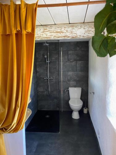 a bathroom with a shower with a toilet and a shower curtain at Mas des Pelissiers Chambre & Table d'hote in Sabran
