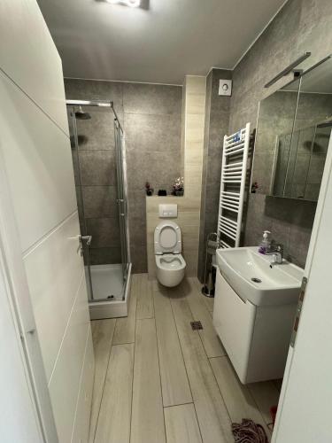 a bathroom with a toilet and a sink and a shower at Sarajevo Bulevar in Sarajevo