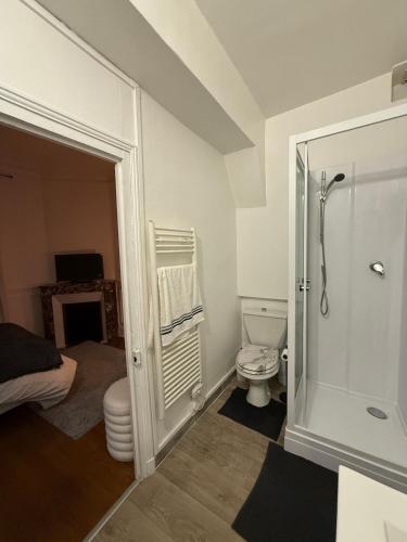 La salle de bains est pourvue de toilettes et d'une douche. dans l'établissement le logis de la cathédrale, à Auxerre