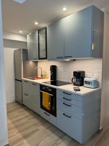 une cuisine équipée d'appareils en acier inoxydable et de placards gris dans l'établissement Appartement rempart d'Antibes, à Antibes