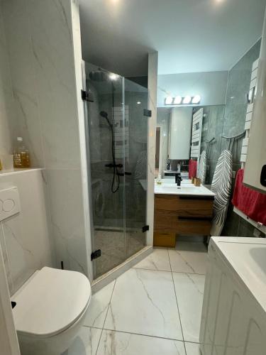 une salle de bain avec une douche, des toilettes et un lavabo dans l'établissement Appartement rempart d'Antibes, à Antibes