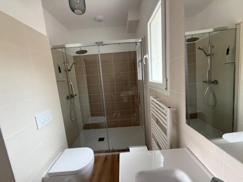 a bathroom with a shower and a toilet and a sink at E casette in Oletta