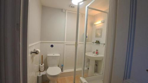 a small bathroom with a toilet and a sink at Royal Temple Yacht Club in Ramsgate