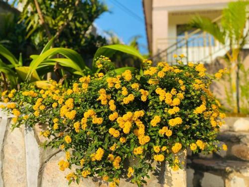 Κήπος έξω από το Blooming Homes Uganda