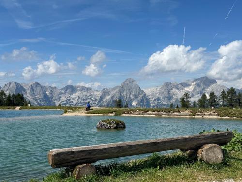 a bench sitting in the middle of a lake with mountains at Pension ALPENHAUS in Vorderstoder