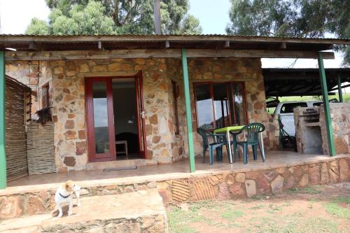 a dog standing on a porch of a stone house at Field and Stream in Dullstroom