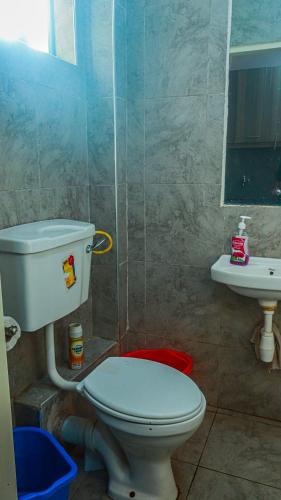 ナイロビにあるDeluxe homesのトイレと洗面台付きのバスルーム
