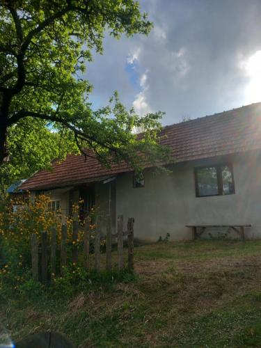 Zahrada ubytování Bistro VILLAGE HOUSE