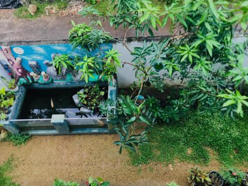 Un jardín fuera de Sunil Villa