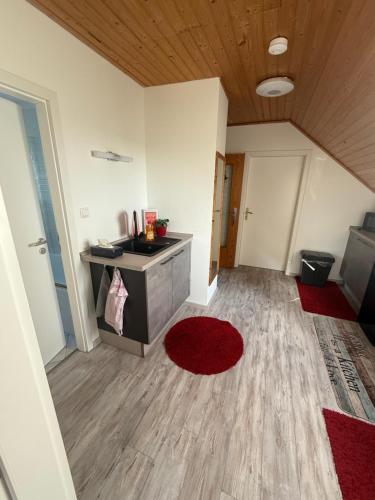 a living room with a sink and a red rug at Am Wäldchen in Hechthausen
