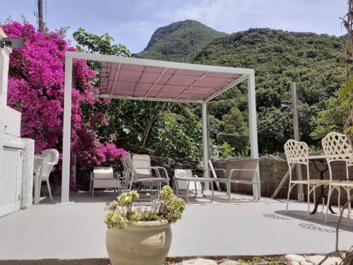 Cap Corse - Maison à 500m de la plage - Logement entier