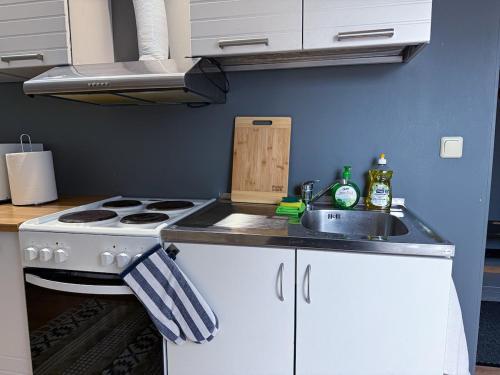 a kitchen with a white stove and a sink at Rapla City Center Apartment in Rapla