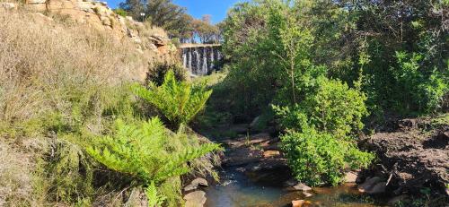 a stream of water with trees on the side of a hill at Field and Stream in Dullstroom