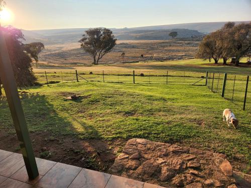 a sheep grazing in a field with a fence at Field and Stream in Dullstroom