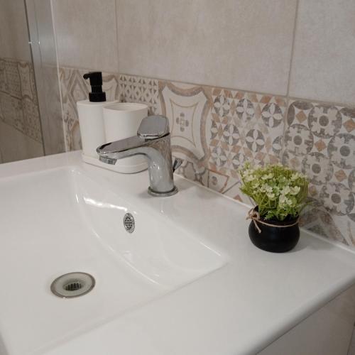 a bathroom sink with a faucet and a plant on it at Sea sicily home in Santa Flavia