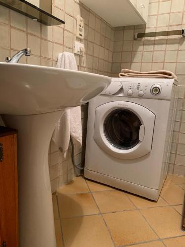 a bathroom with a washing machine and a sink at Dafne Dolomites in Cibiana