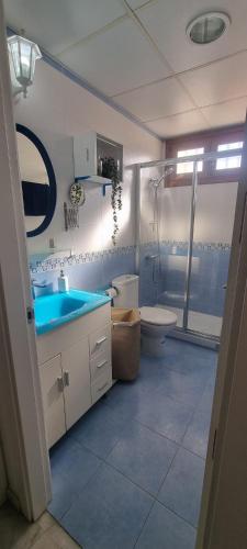 a bathroom with a sink and a toilet and a shower at Casa Rave 17 in Córdoba