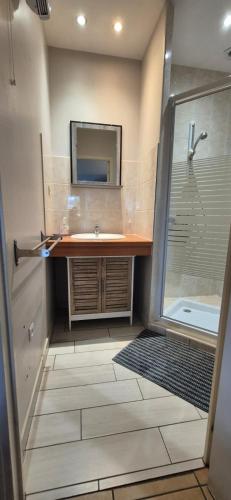 une salle de bain avec un lavabo et une douche avec un miroir dans l'établissement GITE LE PARC A SARLAT Parking privé, à Sarlat-la-Canéda