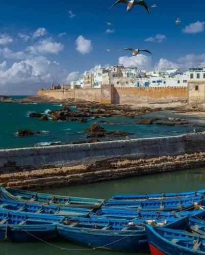 a group of blue boats sitting in the water at Riad Tammam in Essaouira