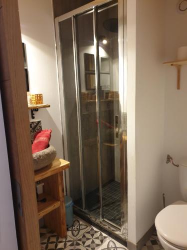 a glass shower in a bathroom with a toilet at La Petite Chapelle in Font-Romeu