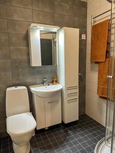 a bathroom with a toilet and a sink and a mirror at Klintvägen 1 in Mariehamn