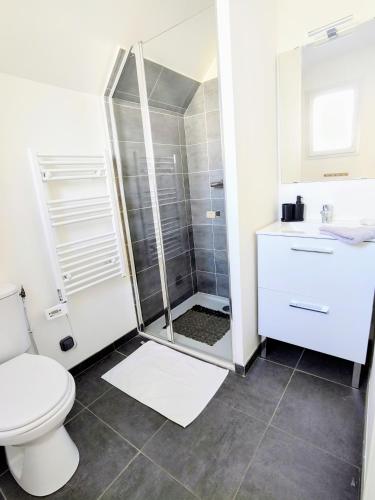 une salle de bain avec une douche, des toilettes et un lavabo dans l'établissement Le Chevalier Gambette - Parking gratuit, à Saint-Valery-sur-Somme