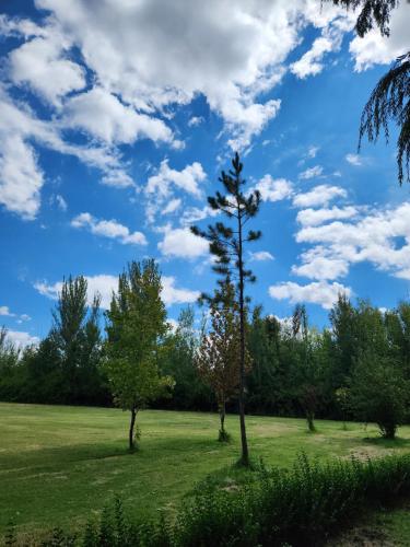a tree in a field with a cloudy sky at Naturaleza & confort en Tunuyan, Mendoza in Colonia Las Rosas