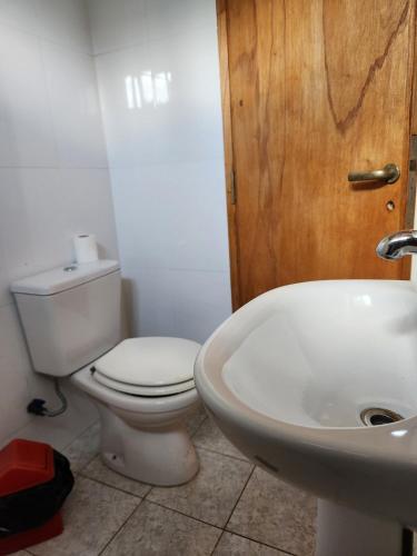 a bathroom with a white toilet and a sink at Naturaleza & confort en Tunuyan, Mendoza in Colonia Las Rosas