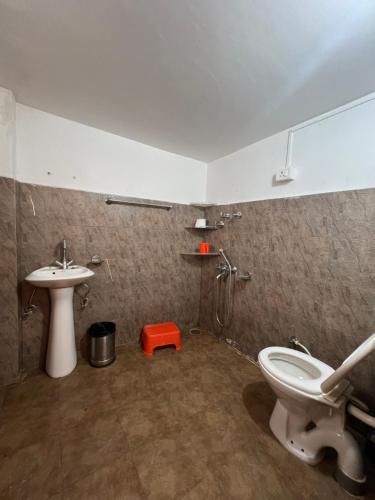 a bathroom with a toilet and a sink at Brahma Cottages in Kasol